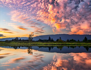 篮球比赛制胜法:意外伤痛使球队变阵