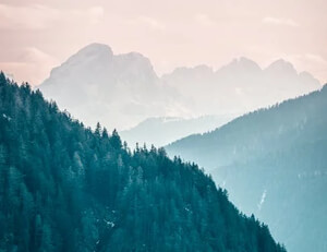 维尔纽斯主场逼平拉脱维亚,出线之路条条大道通罗马